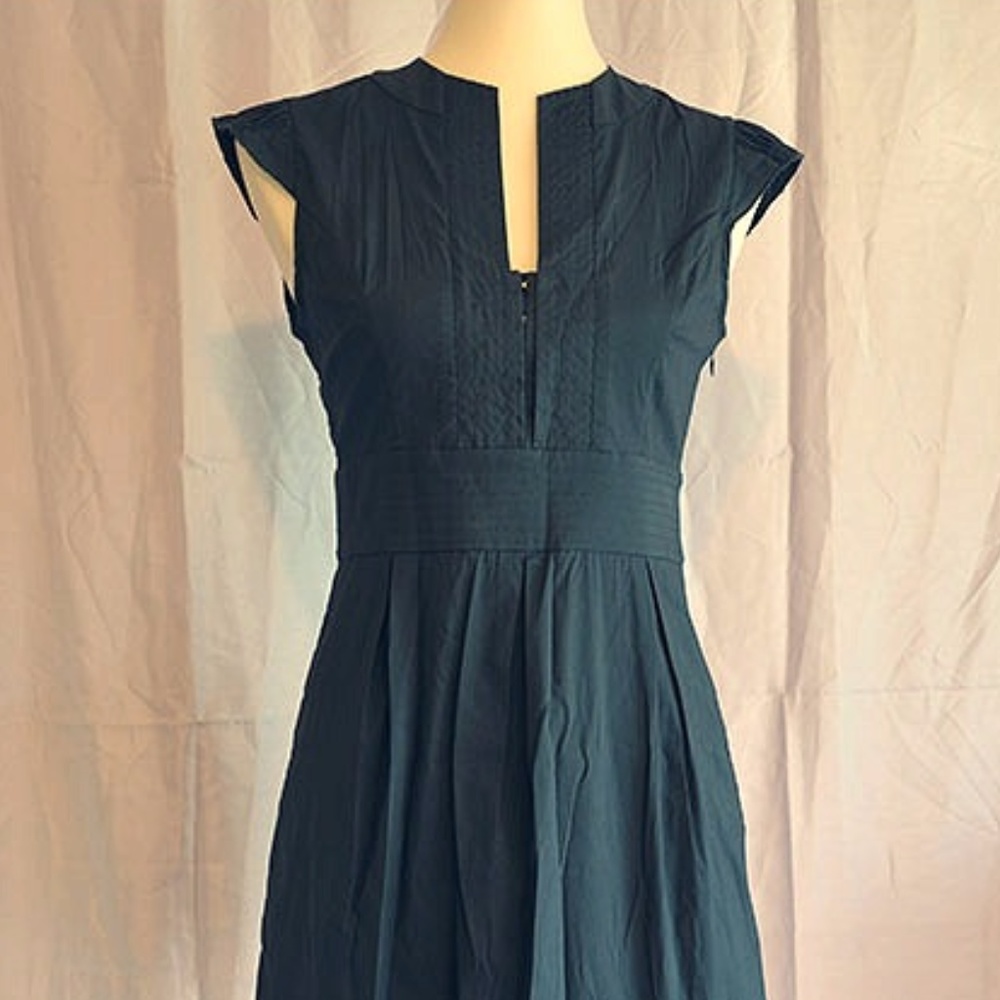 BCBG Sheath Flare Dress