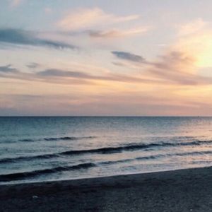 Meet your Posher, Maddie