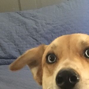 Meet your Posher, Kerri