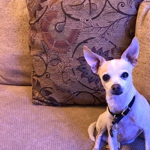 Meet your Posher, Mandy