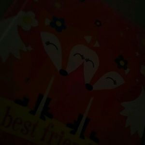 Meet your Posher, Princess