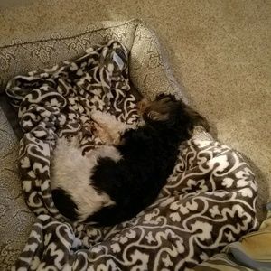 Meet your Posher, Bridgette