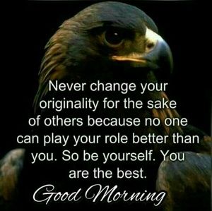 Meet your Posher, Che