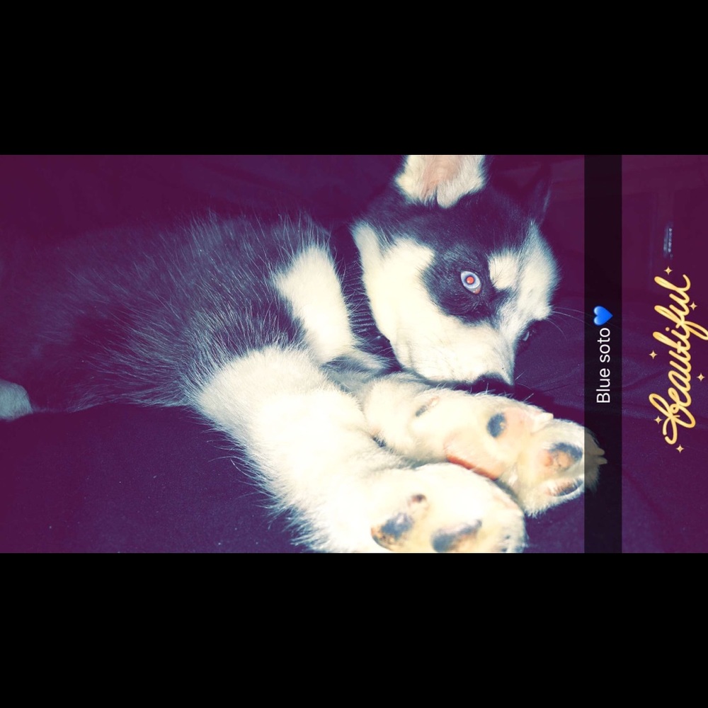 Meet your Posher, Mariah