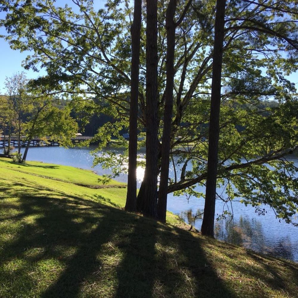 Meet your Posher, Lucelys