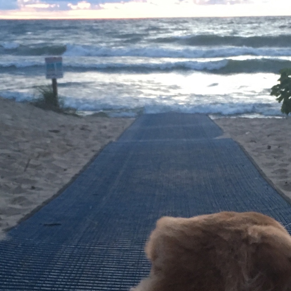 Meet your Posher, Patricia