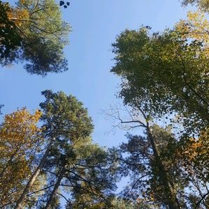 Meet your Posher, Zoe