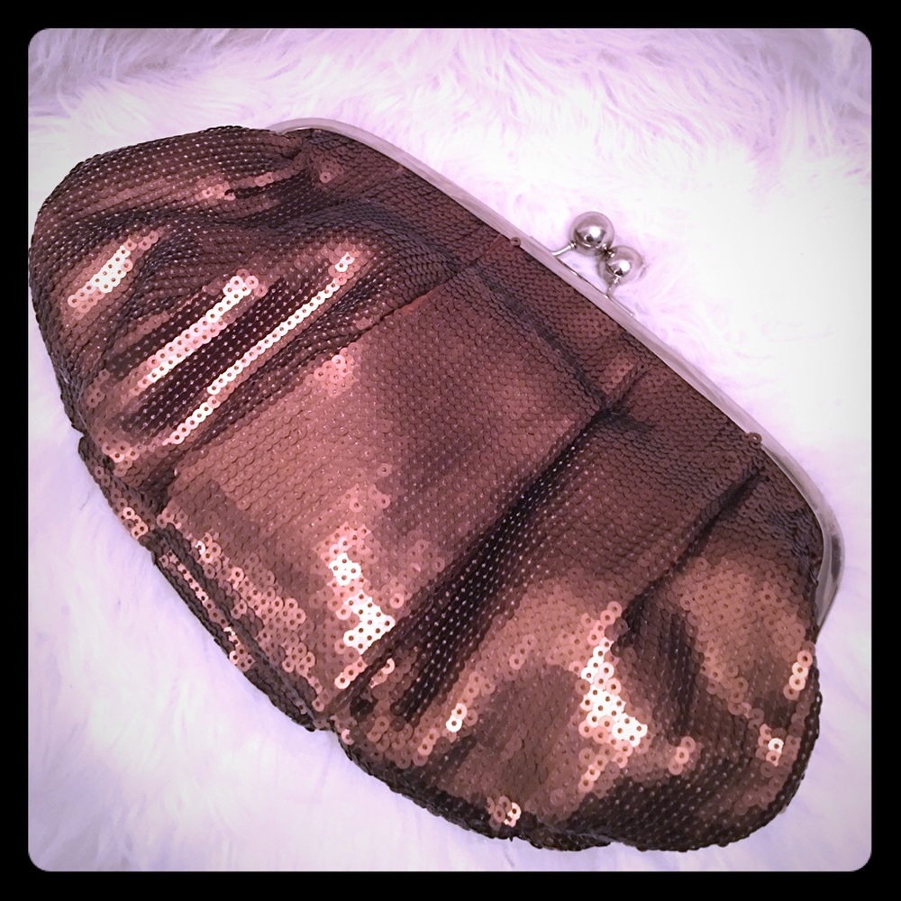 Limited Edition Sequin Clutch purse