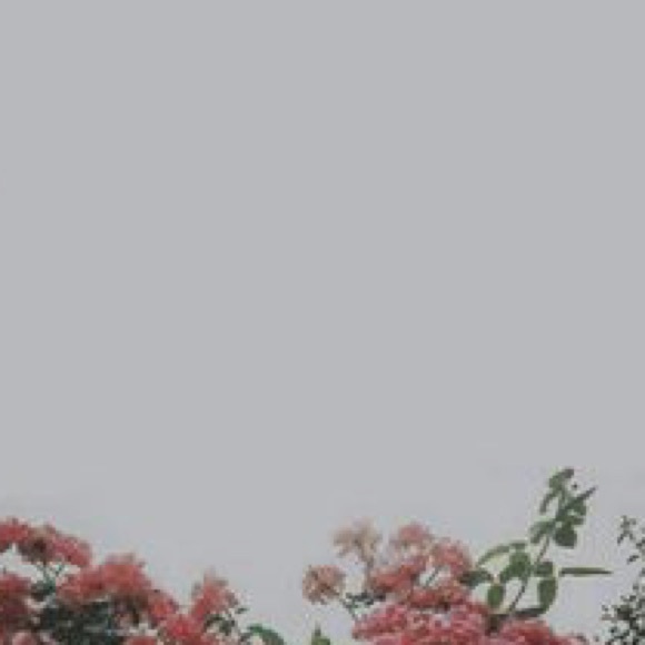 Meet your Posher, Skylar - Picture 1 of 1