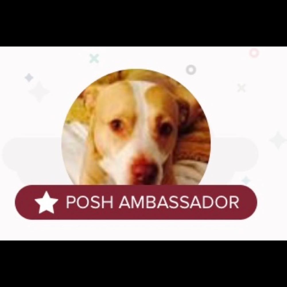 Ambassador/Suggested User.