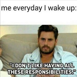 Meet your Posher, Gracie