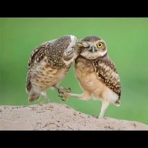 Meet your Posher, Adriana