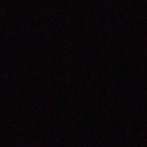 Meet your Posher, Evan