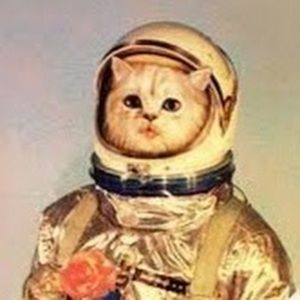 Meet your Posher, Noelle