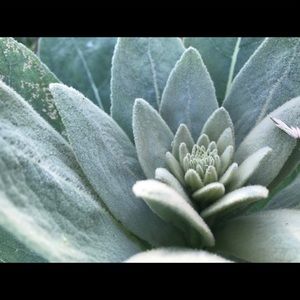 Meet your Posher, Jessika