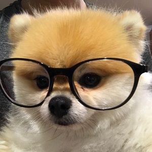 Meet your Posher, Weng