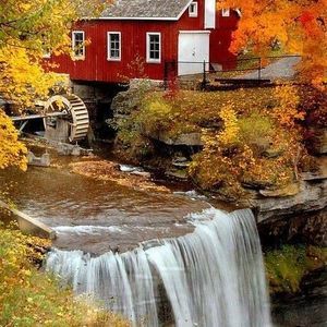 Meet your Posher, Judy