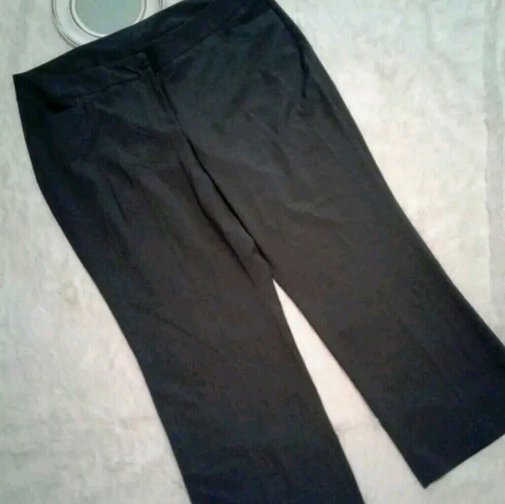 24w Tall Gray Lane Bryant Pants