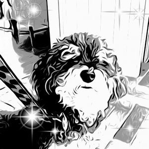 Meet your Posher, Katherine