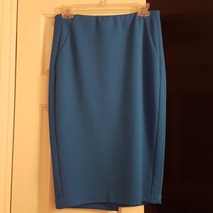 Blue Pencil Skirt