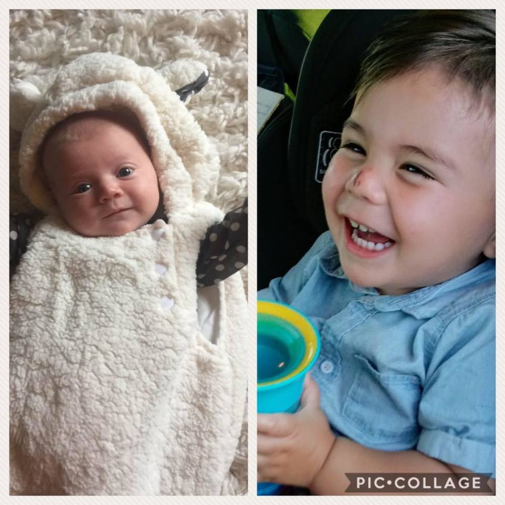 Meet your Posher, Shelly