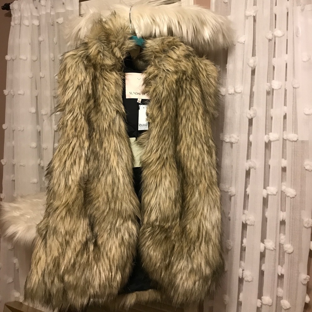 Aritzia faux fur vest