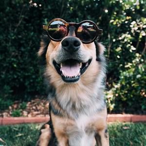 Meet your Posher, Alexander