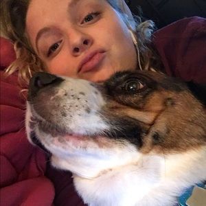 Meet your Posher, Bailey