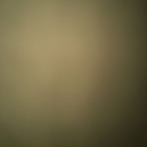 Meet your Posher, Benjamin