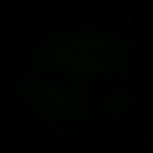 Meet your Posher, Sunshine