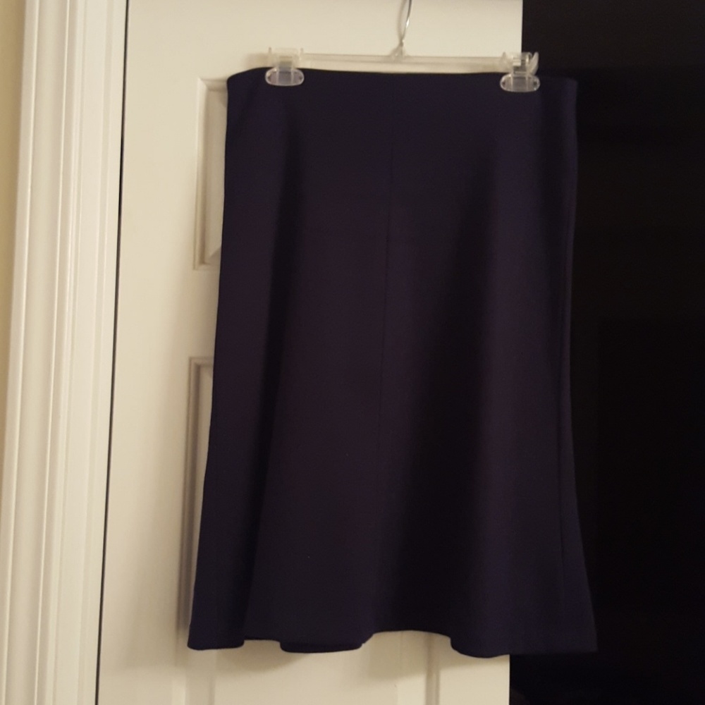 Navy Skirt
