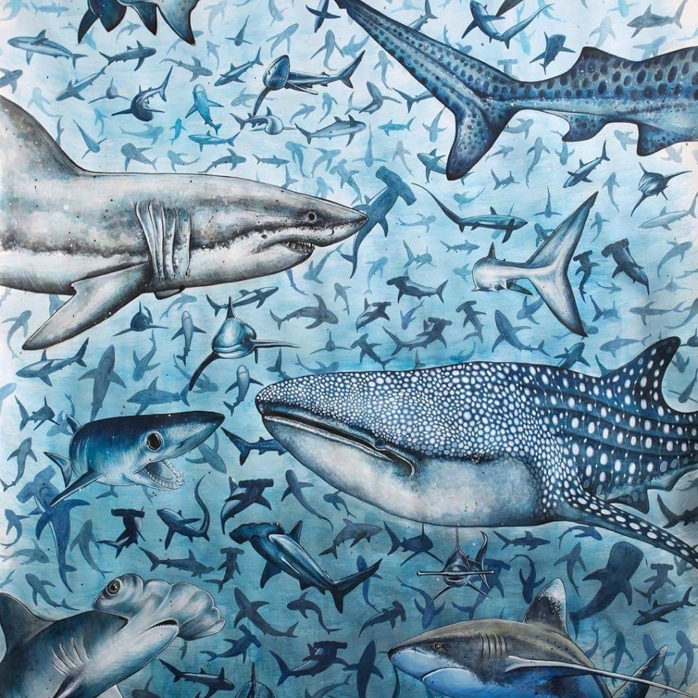 Meet your Posher, Cassie