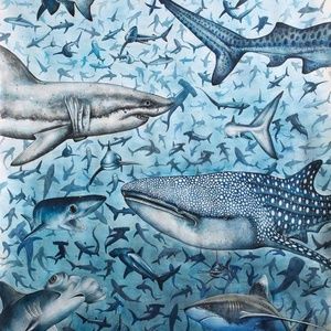 Meet your Posher, Cassie