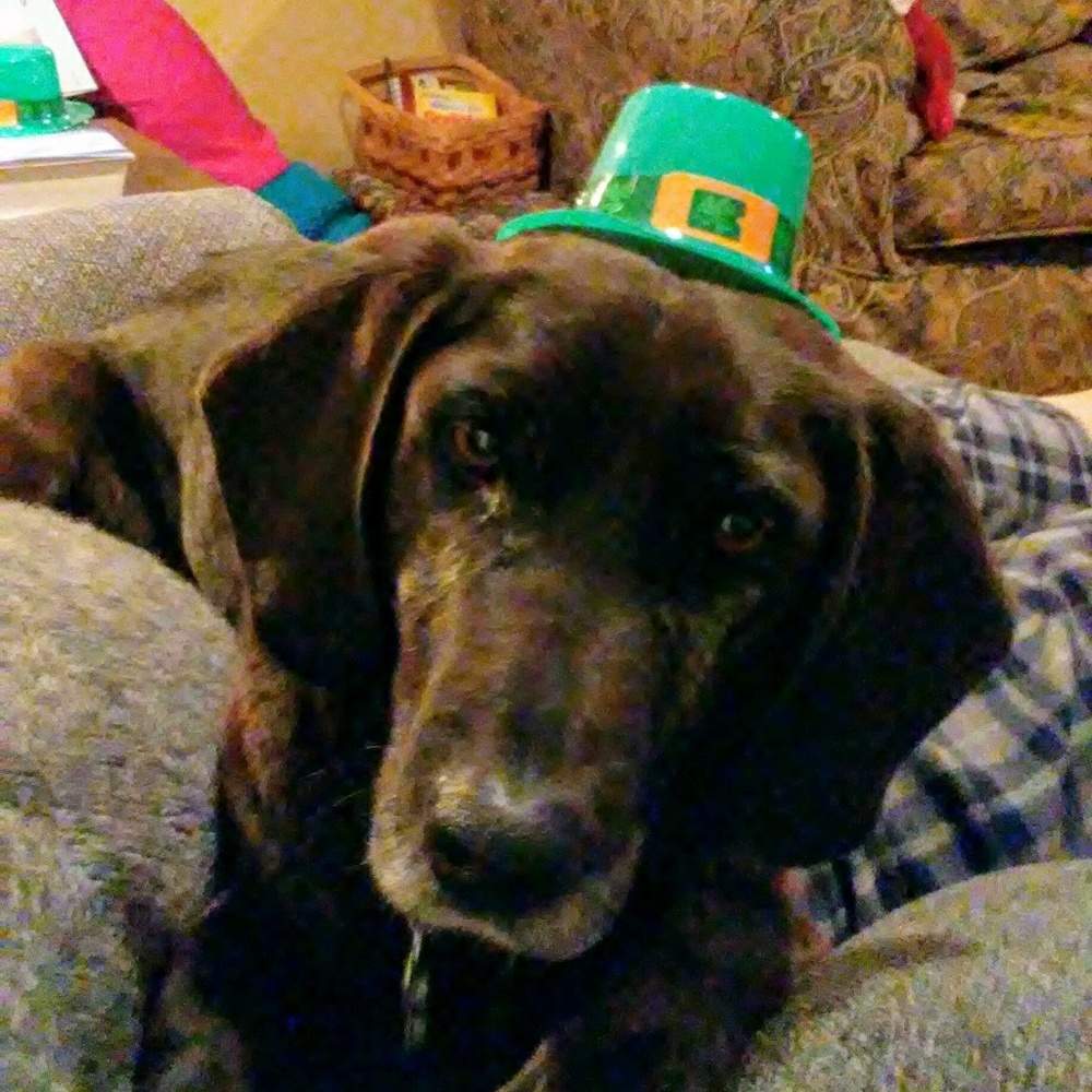 Meet your Posher, Ronni