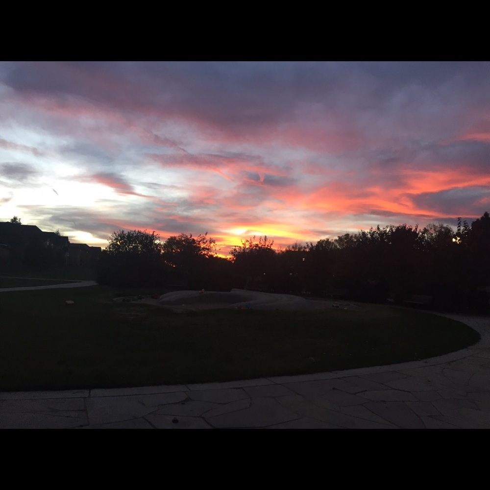 Meet your Posher, Koby