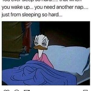 Meet your Posher, Hilary