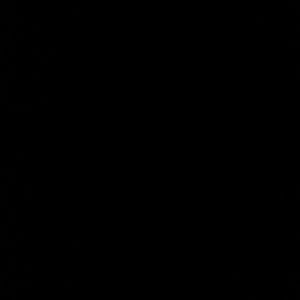 Meet your Posher, Shajuana