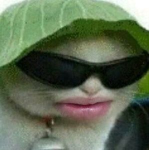 Meet your Posher, Marcus