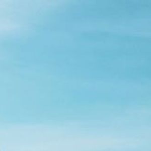 Meet your Posher, Jazmjn