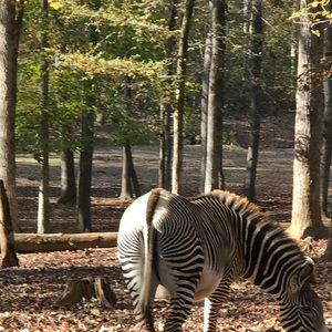 Meet your Posher, Barbara