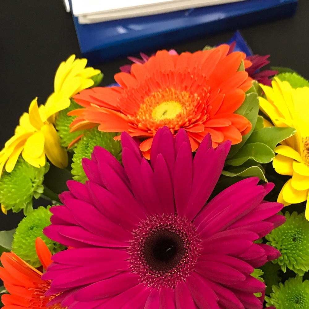 Meet your Posher, Dorothy