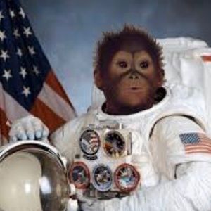 Meet your Posher, Jesse