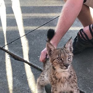 Meet your Posher, Jayne
