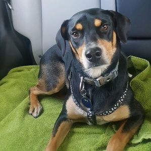 Meet your Posher, Jean