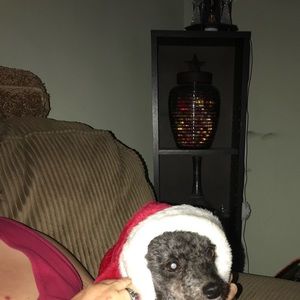 Meet your Posher, Helen