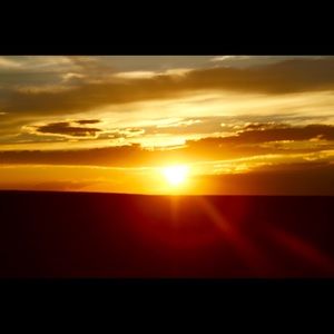 Meet your Posher, Caleb