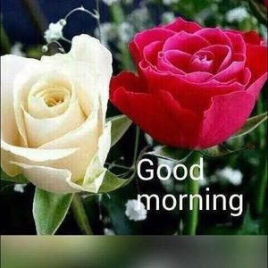 Meet your Posher, Pretti