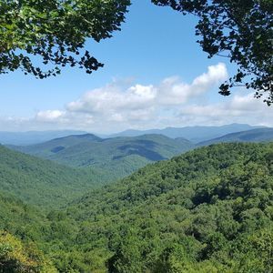 Meet your Posher, Daisy