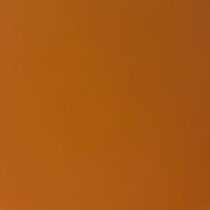 Meet your Posher, Karla