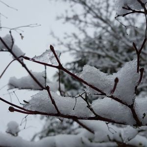 Meet your Posher, Zach